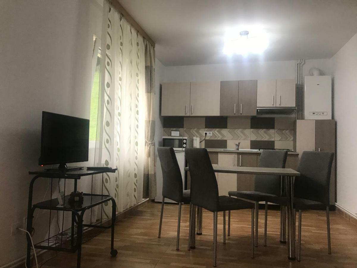 Ferienwohnung Garsoniera Family Buşteni Exterior foto